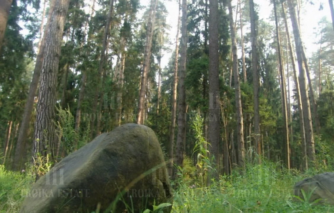 КупитьУчасток
без отделкиСосновый Бор 18 км. метро 